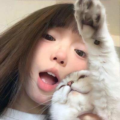 万物理论